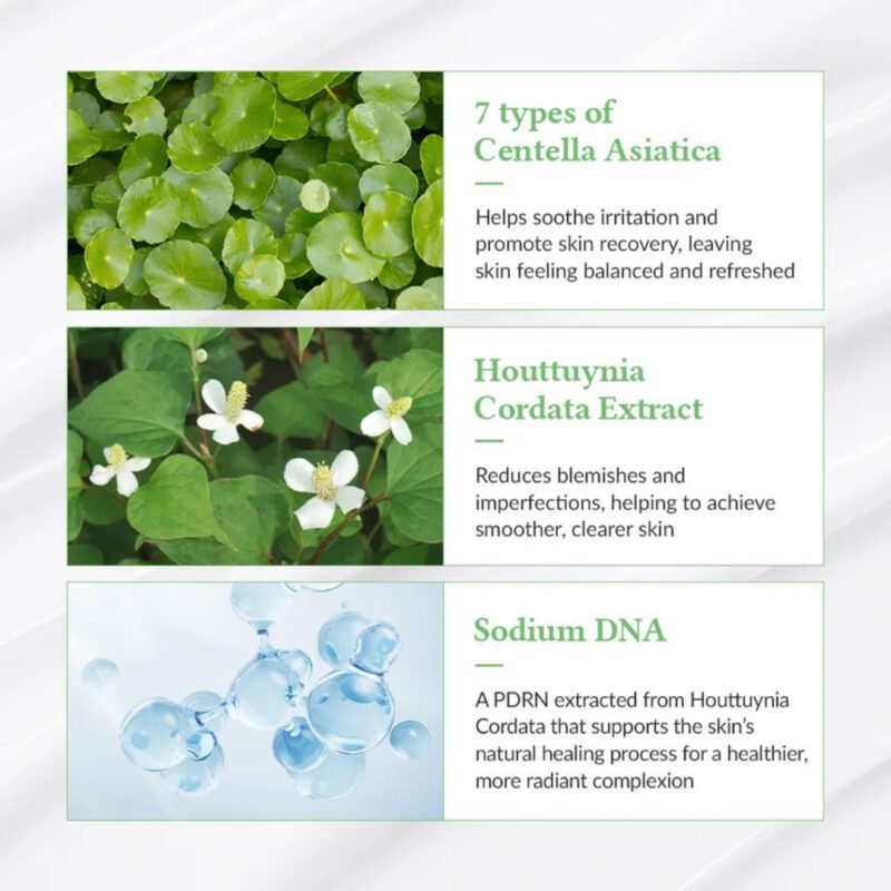 Dr. Althea - Protector Solar Green Tea Fresh Sunscreen - Imagen 3
